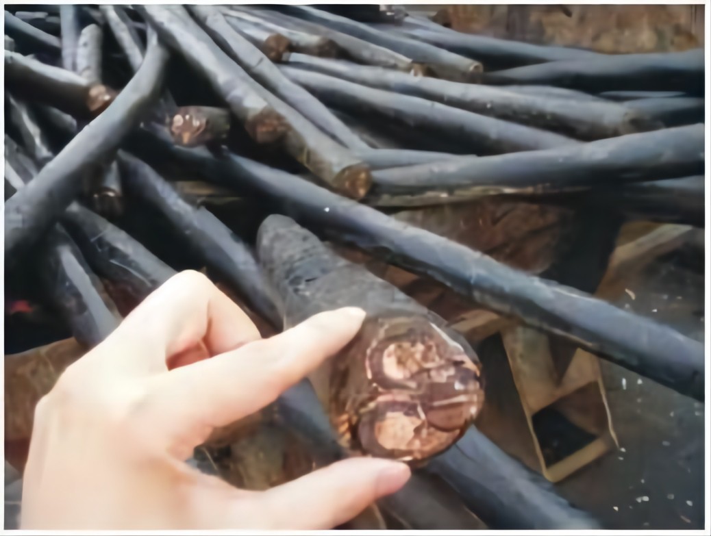 Waste Copper Cable Stripper